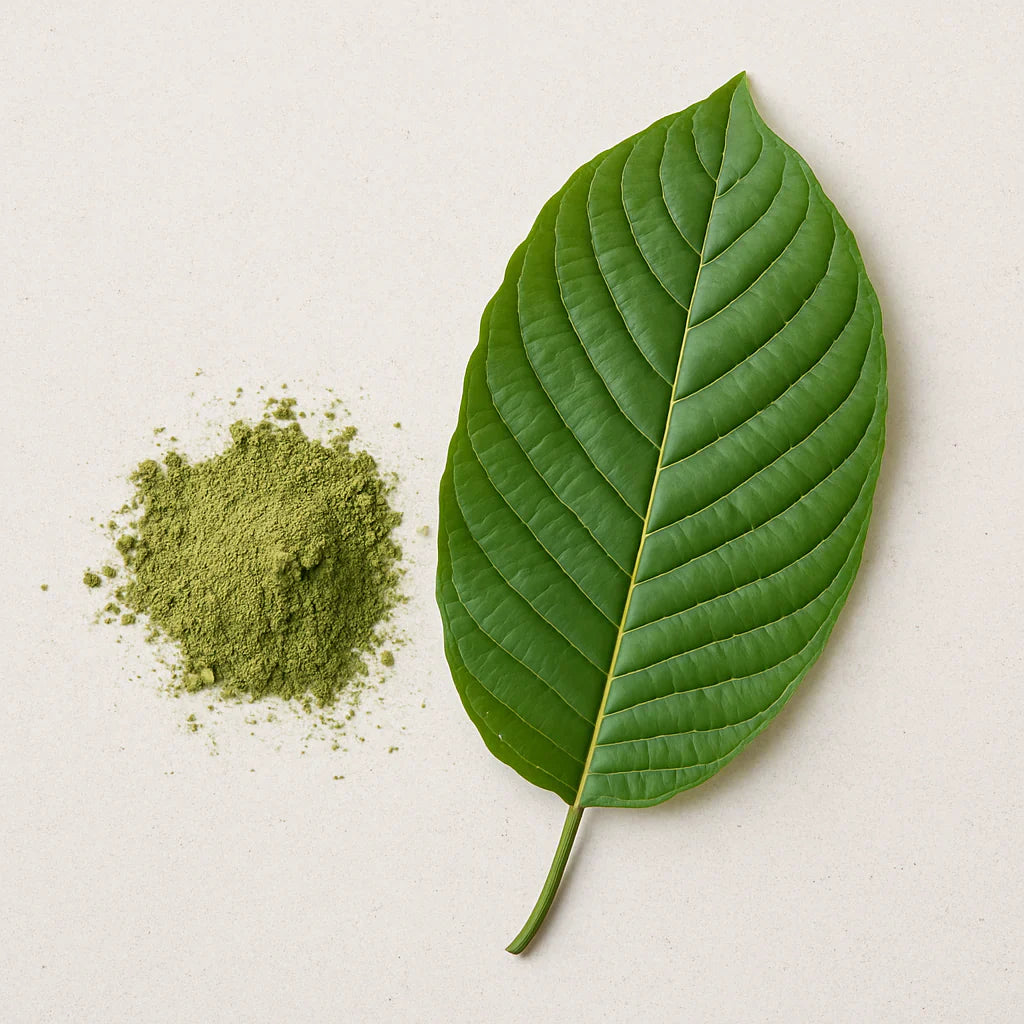Is Kratom legaal in Nederland?