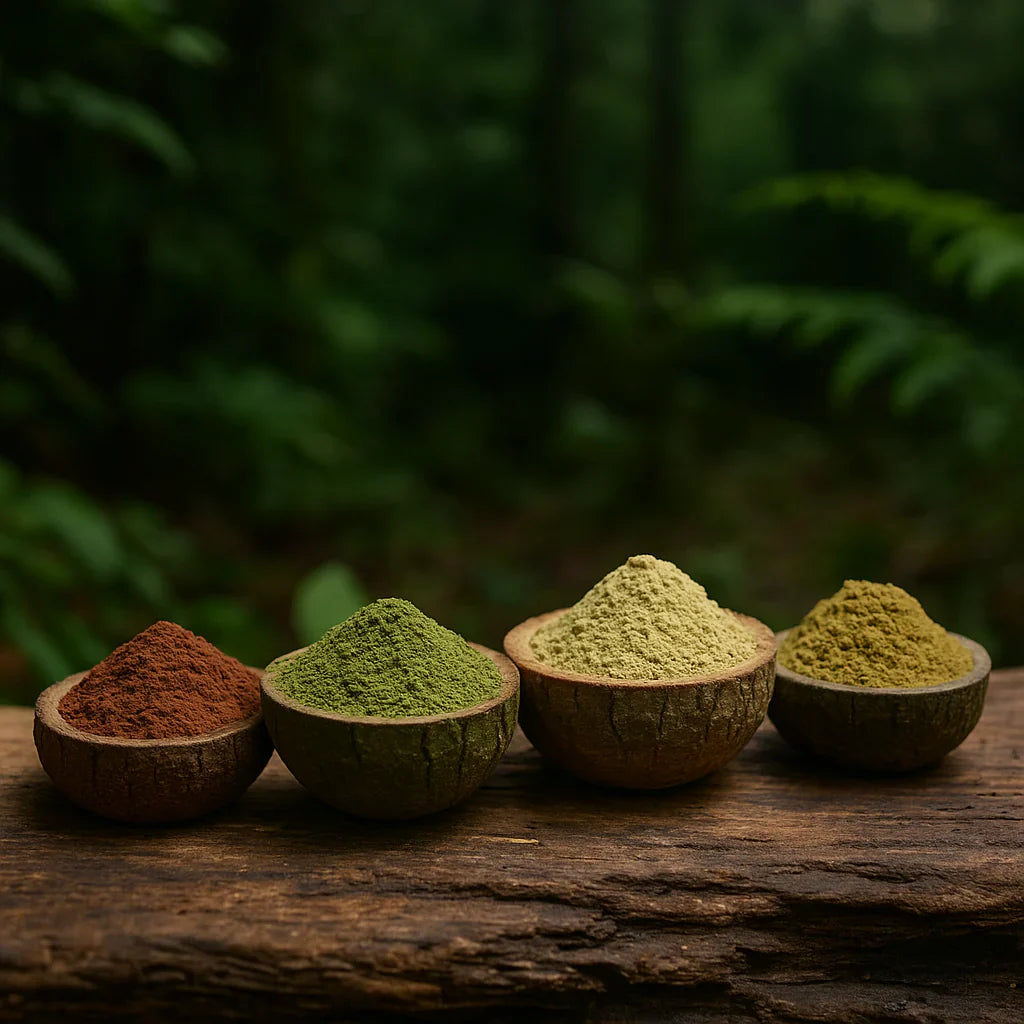 De vier belangrijkste kratomsoorten